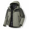 Sage Green / Dark Green